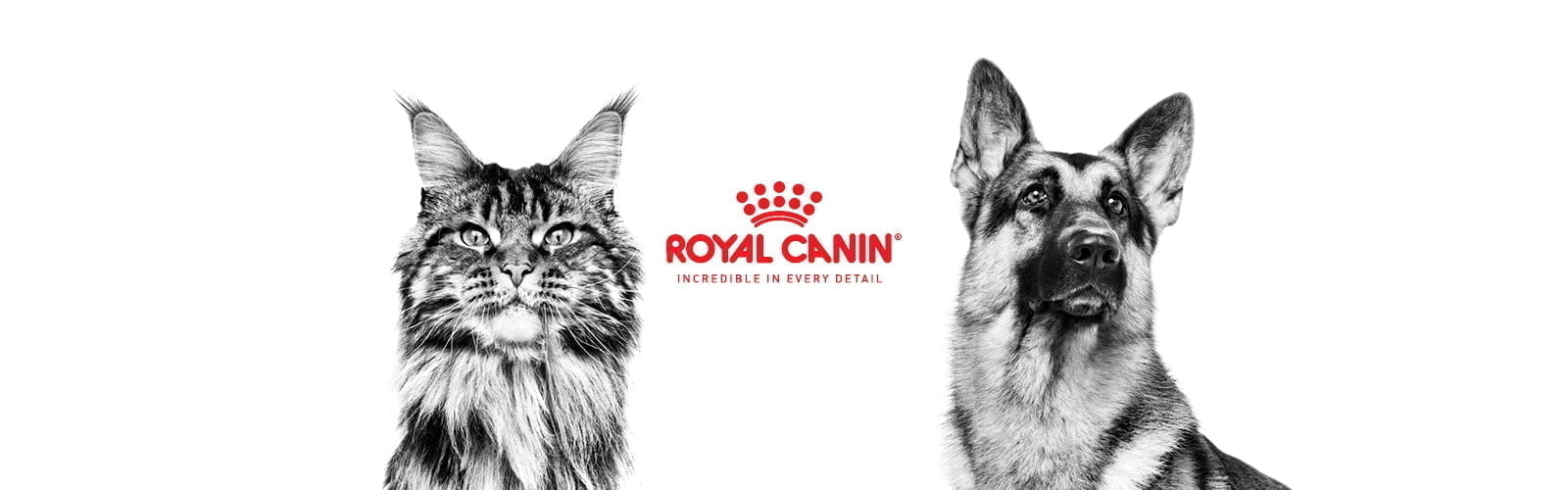 RC main website header_1600x500