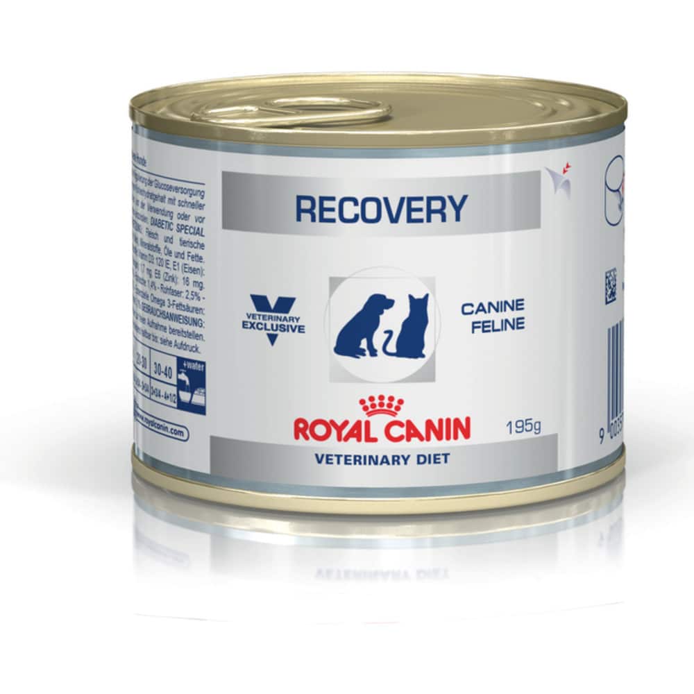 Royal страна производитель. Роял Канин для кошек рекавери консервы. Royal Canin Recovery для кошек. Роял Канин рекавери для собак консервы. Паштет Роял Канин рекавери для кошек.