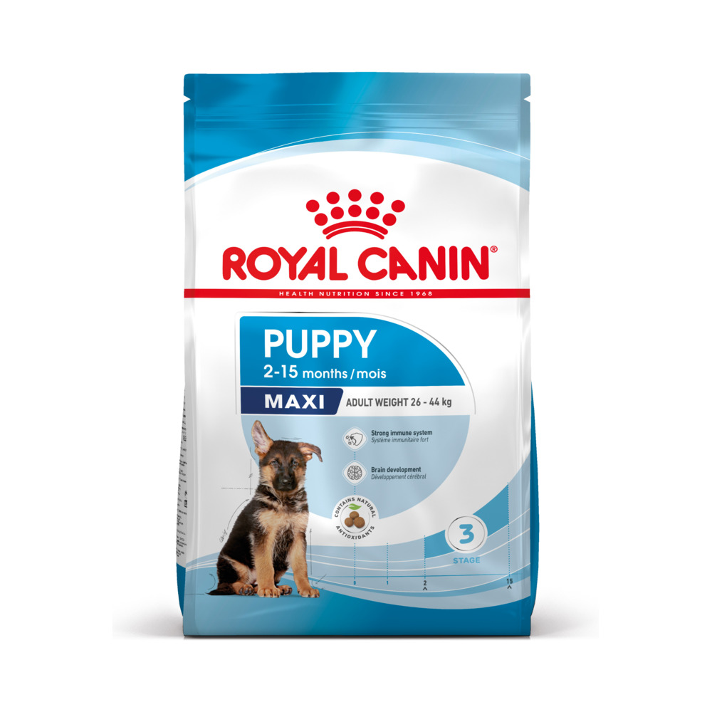 Royal Canin SHN Maxi Puppy 12 KG