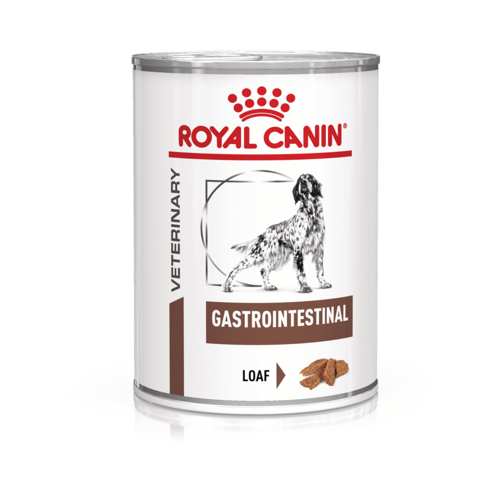 Royal Canin VD Gastrointestinal dog 400 g