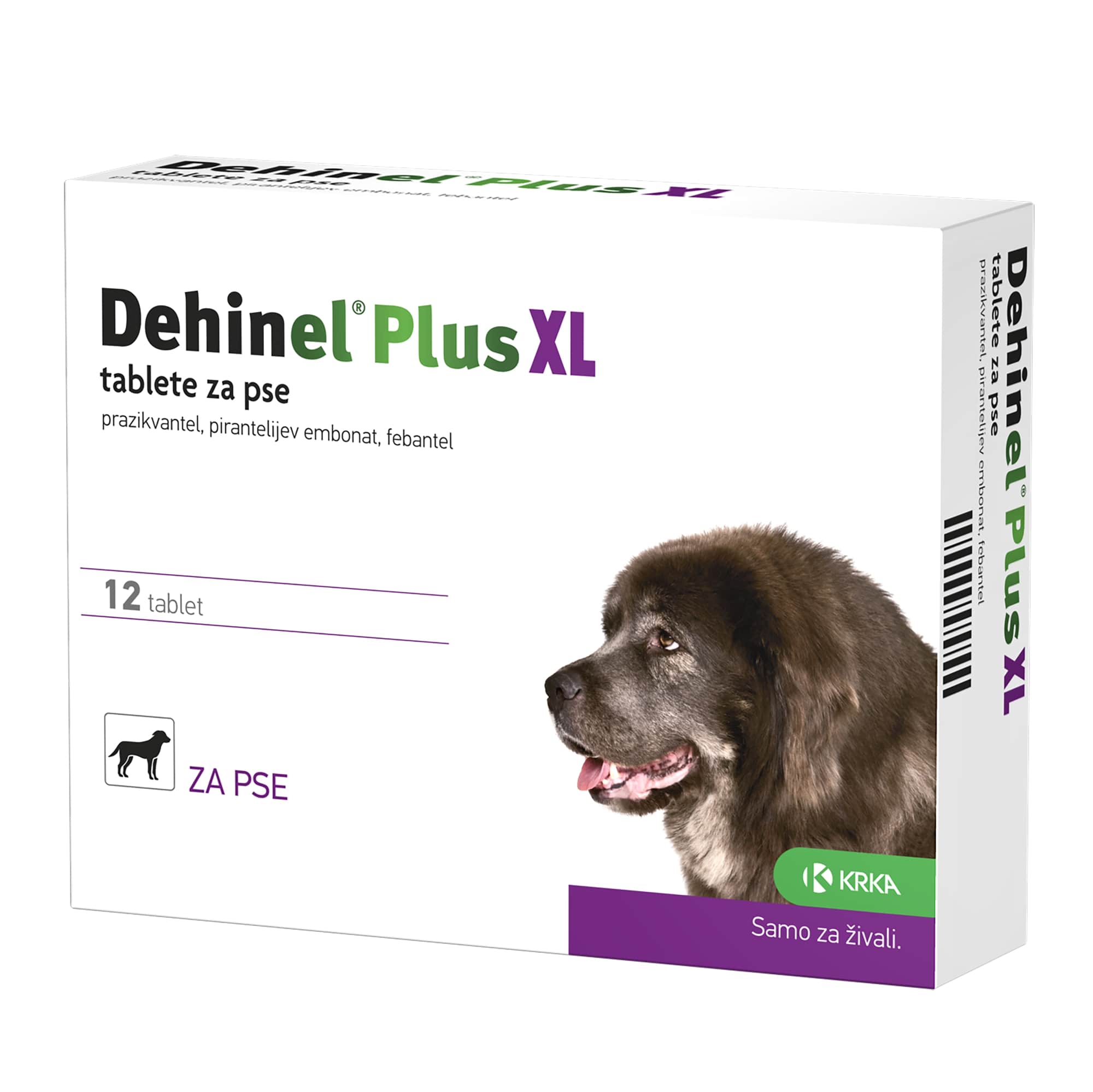 Dehinel Plus XL