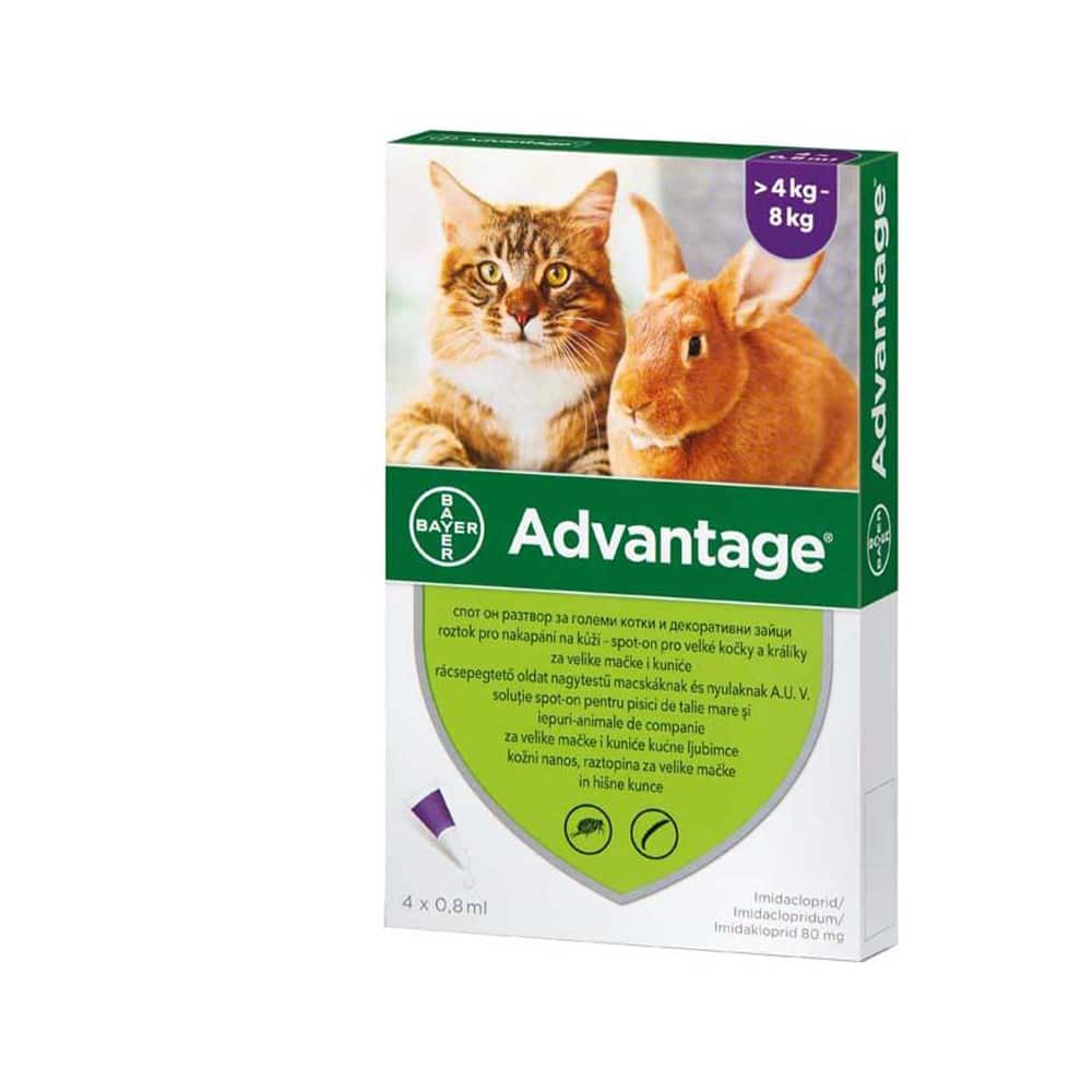 Elanco Advantage za mačke i kuniće (od 4-8 kg)