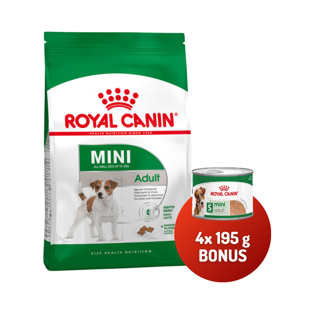 Royal Canin SHN Mini adult 8 kg