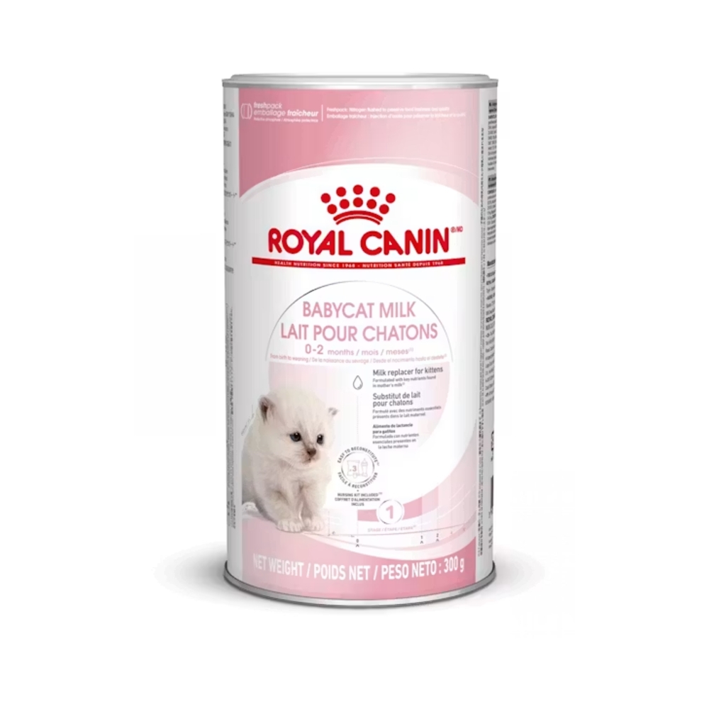 Royal Canin FHN Babycat Mlijeko 300 g