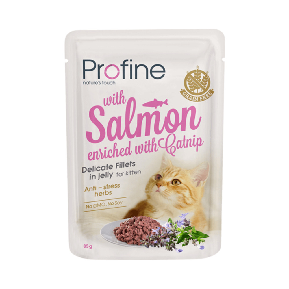 Profine Kitten Jelly losos 85 g