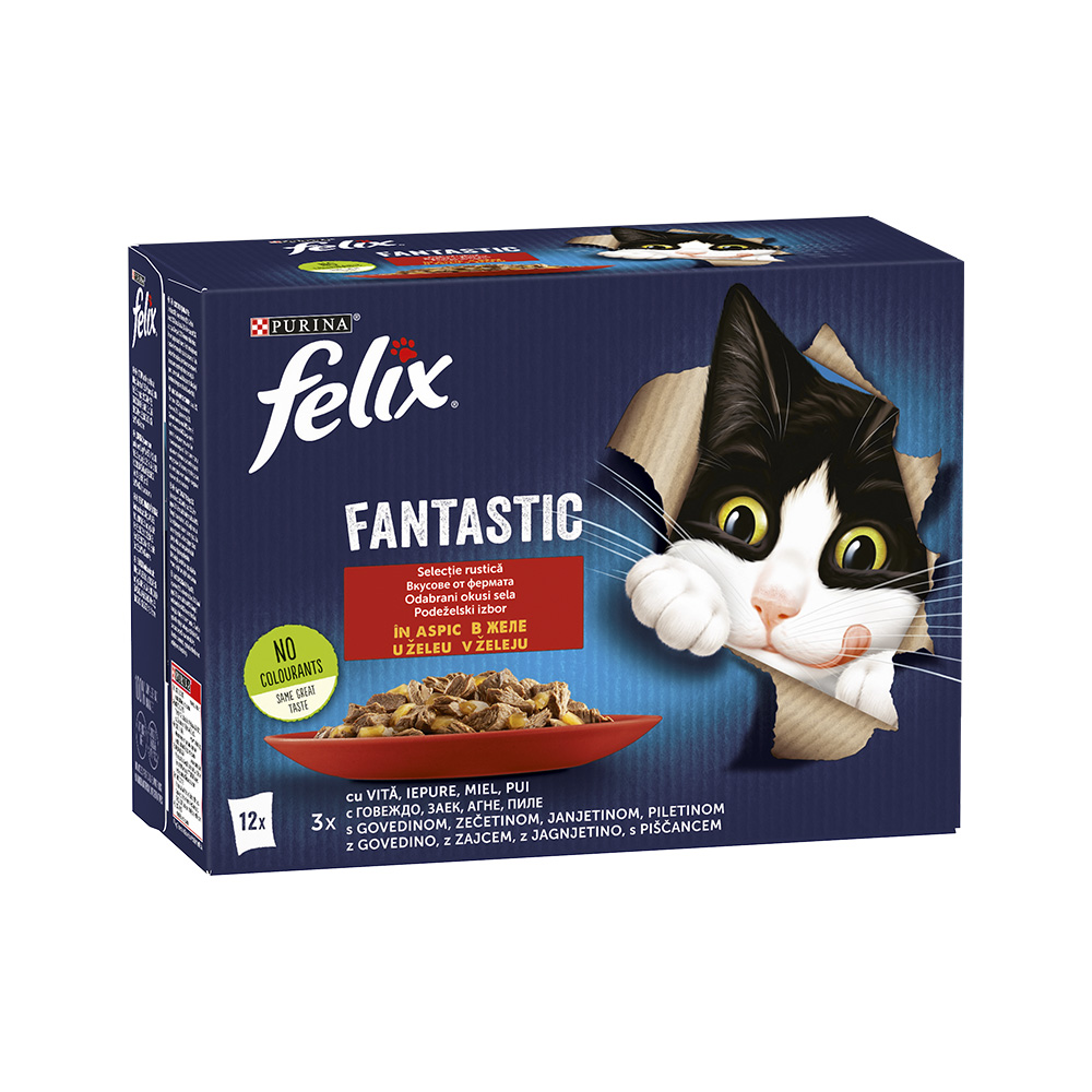Felix Fantastic - meso 12x85 g