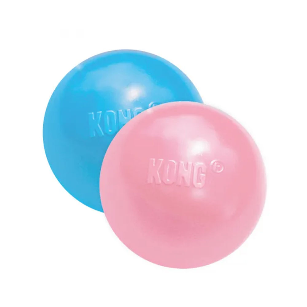 Kong Puppy Ball S