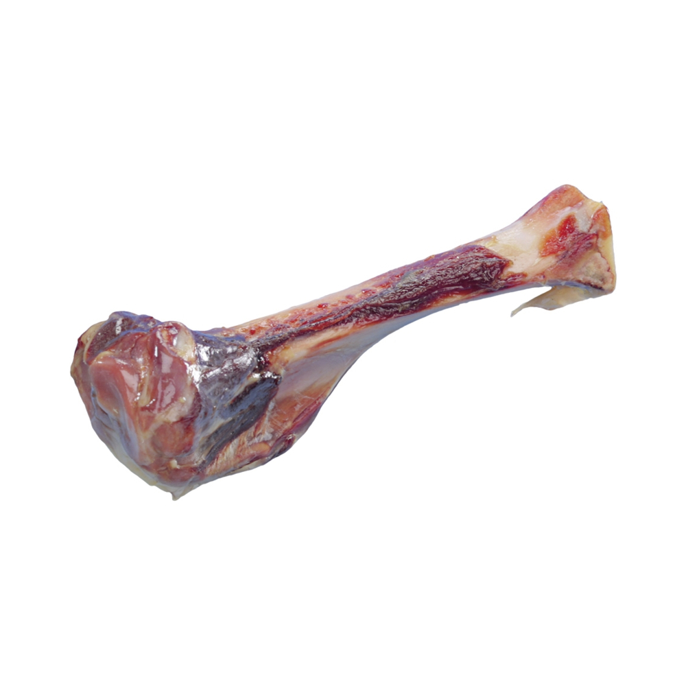 NOBBY Kost od šunke 17cm