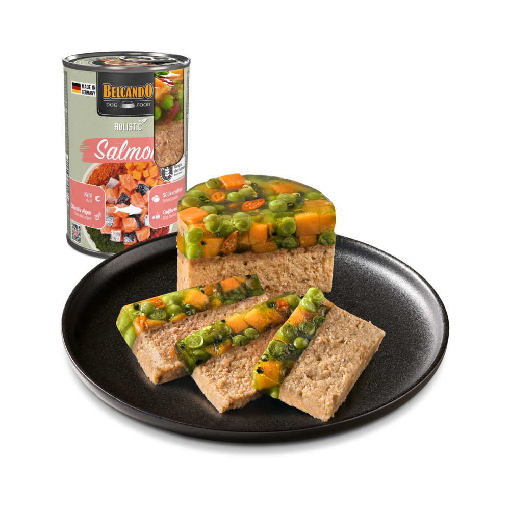 Belcando Holistic losos 400 g